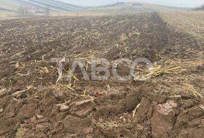 Teren intravilan de vanzare cu acces la utilitati  9300 mp Sura Mare - 1