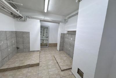 VILA SPATIOASA BANEASA | AEROGARII | BIROURI | CLINICA | COMERCIAL - 15