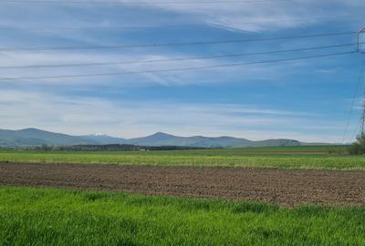TEREN EXTRAVILAN LANGA FABRICA DE CHERESTEA Holzindustrie Schweighofer - RECI - 6