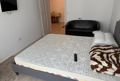 Apartament 2 camere Central Park 4 - de inchiriat - 7