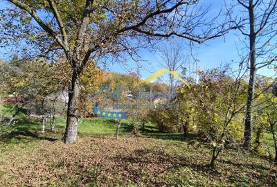 Teren intravilan de vanzare, Provita de Jos - 4
