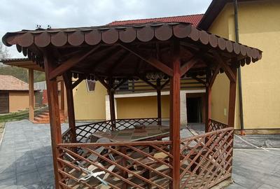 Casa cu 3 camere, 150 mpu, mobilata, utilata, garaj, curte, Ampoita - 21