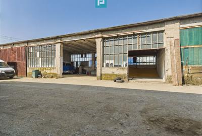 Complex industrial cu hale și teren  în Orțișoara - 11