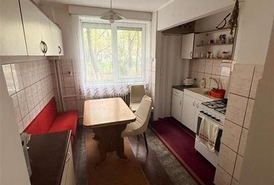 RECO Apartament X mare 2 camere zona foarte linistita Splaiul Crisanei - 3