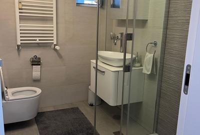 Apartament 2 camere de inchiriat Unirii - 3