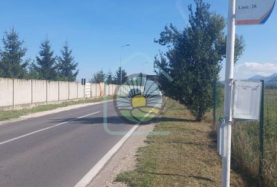 TEREN STUPINI BRASOV - 1