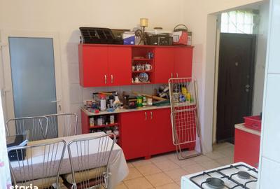 CI658 Sagului,casa-vila individuala P+M,Timisoara - 8