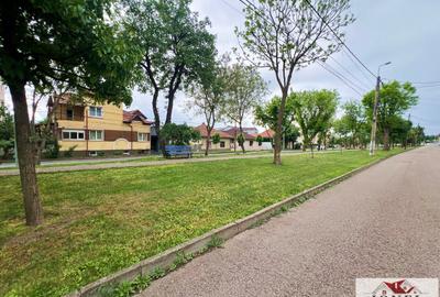 Spatiu comercial - pensiune - de vanzare in Alba Iulia, Centru - 10