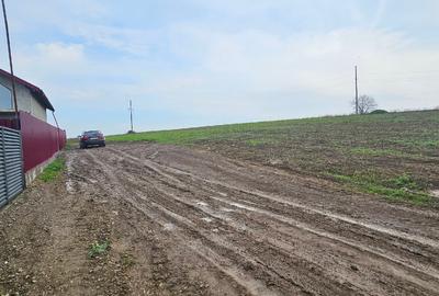 Teren Construcții extravilan de 6000 mp, în Șendreni