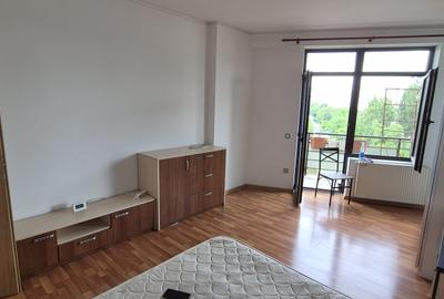 Calea Vacaresti -Metrou Piata Sudului - 2 camere , pet friendly - 3