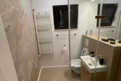 Piata Romana Dorobantilor langa Liceul Gaerman, metrou Piata Victoriei - 7