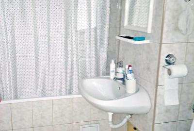 Apartament 2 camere Semicentral, Str. Bucuresti, zona Farmec - 12