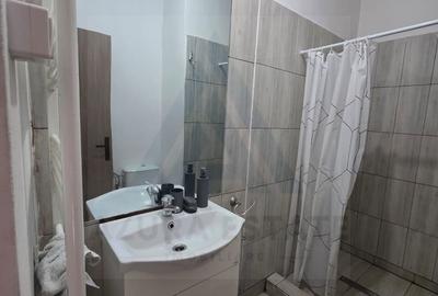 Studio la curte utilat complet cu terasa  zona Lazaret - 14