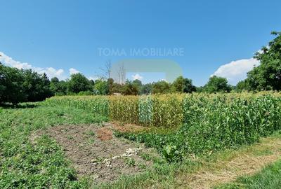 Teren intravilan 4.133 mp cu dublă deschidere – Girov, Neamț | Toma Imobiliare - 2