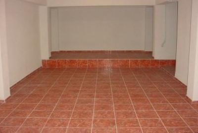 Vilă versatilă Calea Călărașilor – Ideală Birou, Locuință sau Mixte | 353mp - 11