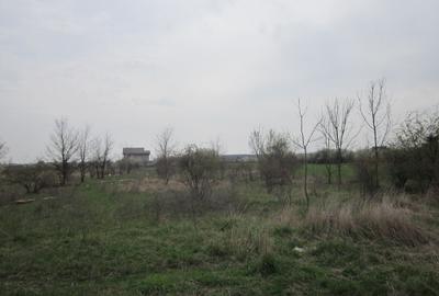 Teghes-Caminului - 4
