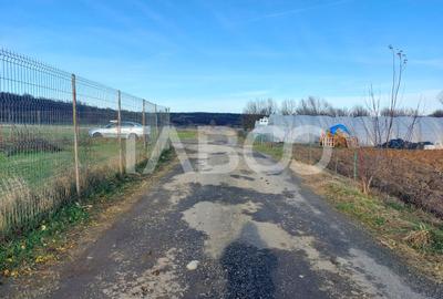 Teren intravilan 1687 mp pentru cabana zona de gradini Cisnadie - 2