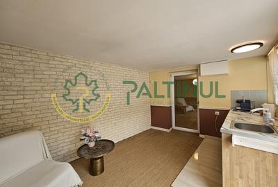 Casă de vanzare cochetă, complet renovată, în Rășinari, Sibiu - 17