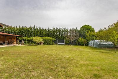 🌿 Proprietate exclusivistă lângă pădure | Dumbrăvița – zona Uranus - 3