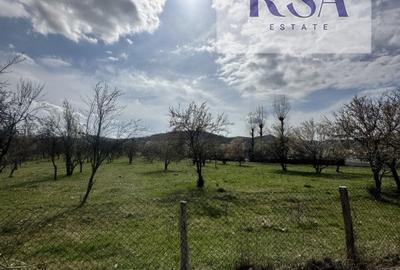 Teren 10.000 Mp Intravilan/Extravilan Livada De vanzare Bunesti Valcea - 3