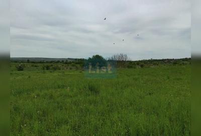 Comision 0%! Oportunitate, teren intravilan, 800 mp Masterplan, Sopor - 3