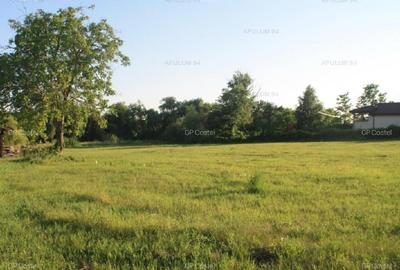 Teren intravilan 500 mp | utilitati | ideal casa - Poarta Alba - 2
