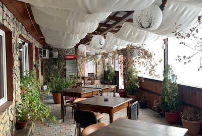 Restaurant pensiune de vanzare, loc. Margineni jud. Bacau - 4