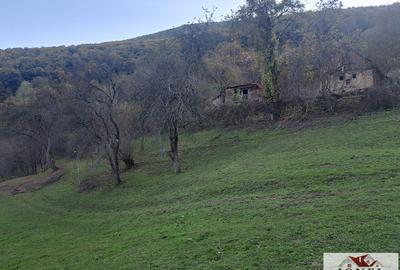Vanzare casa cu 17399 mp teren Vintu de Jos - Valea Vintului - 5