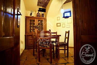 Afacere la cheie, in apropierea Castelului Corvinilor in Hunedoara - 12