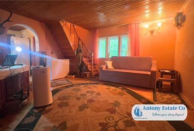 Antony Estate | Vanzare The Heritage Hill - Zona Dealuri - 17