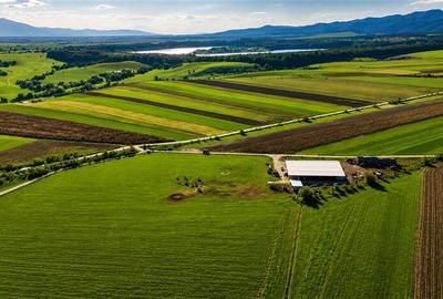 FILM! 18.000 mp, extravilan, agricol+ constructii:ferma,investitii agricole, Rot - 6