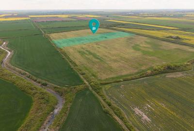 Teren investițional strategic 44.700 mp Arad Vest - 1