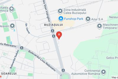 Spațiu industrial, 10000 mp în Buziașului