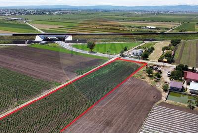 Teren intravilan/extravilan Jorasti / Strada Forturi ( principala) - 1