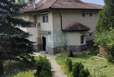 Vila spațioasă 5 dormitoare, Provita de Jos - 2