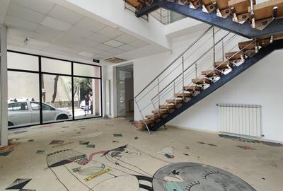 Spatiu de retail cu multiple functiuni in zona Titulescu - Banu Manta - 8