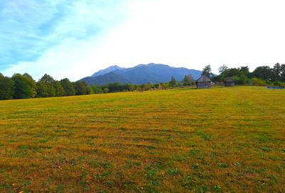 Teren cu panorama de vis in Glajerie- Sohodol - 9