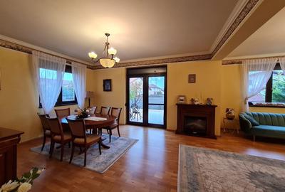 Poziție de top în Dumbravita - 4