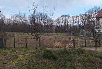 Teren intravilan Curtea de Arges - 1