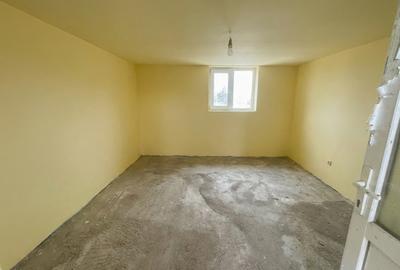 Mitreni-Valea Rosie-Acasa la Tara -4 camere-178 mp-LOT  1000 mp+Casa secundara - 37