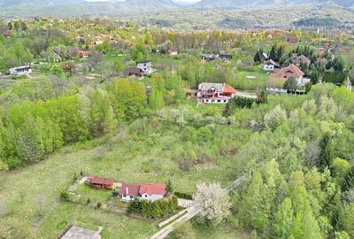 Teren intravilan Bran- Predelut - 23