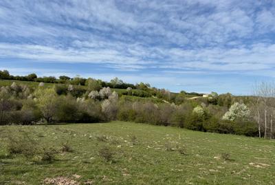 Teren intravilan 500 mp sau 1000 mp în Bran –Tohanita cu parau langa - 4