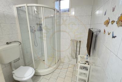 Casa 7 camere cu Teren 4.620 mp | Potential pentru rezidenta sau afacere | Carei - 16