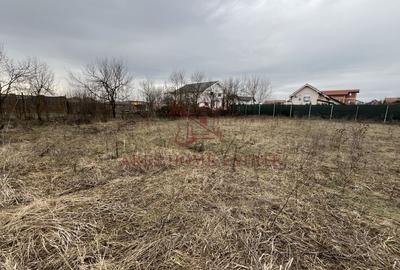 Teren intravilan | Toate utilitatile la 30m | Mosnita Veche - 4