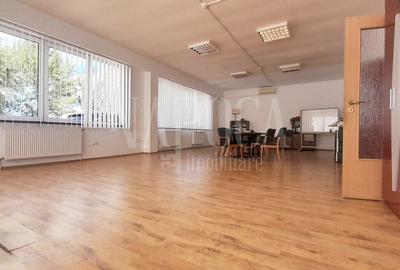 Spatiu industrial de vanzare in Bors - 6