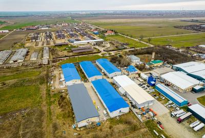 Hală de închiriat Calea Bodrogului 1.000mp - 9