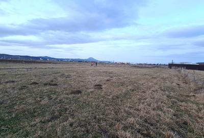 TEREN 1049 mp - INTRAVILAN DE CONSTRUCTII - 12