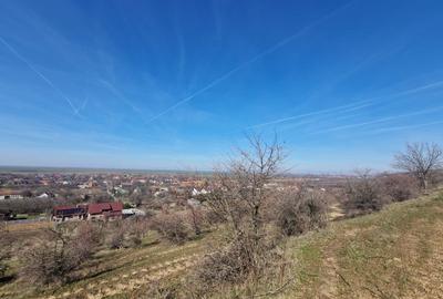 Teren extravilan,  zona si priveliste superba, Cuvin - 5
