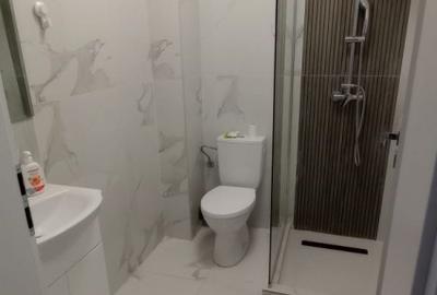 3 camere parter – Pallady, terasă + curte, parcare inclusă, prima închiriere - 6
