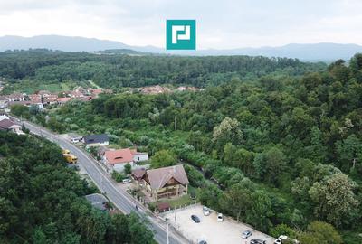 Teren Intravilan, în orașul Sebiș, Arad - 7
